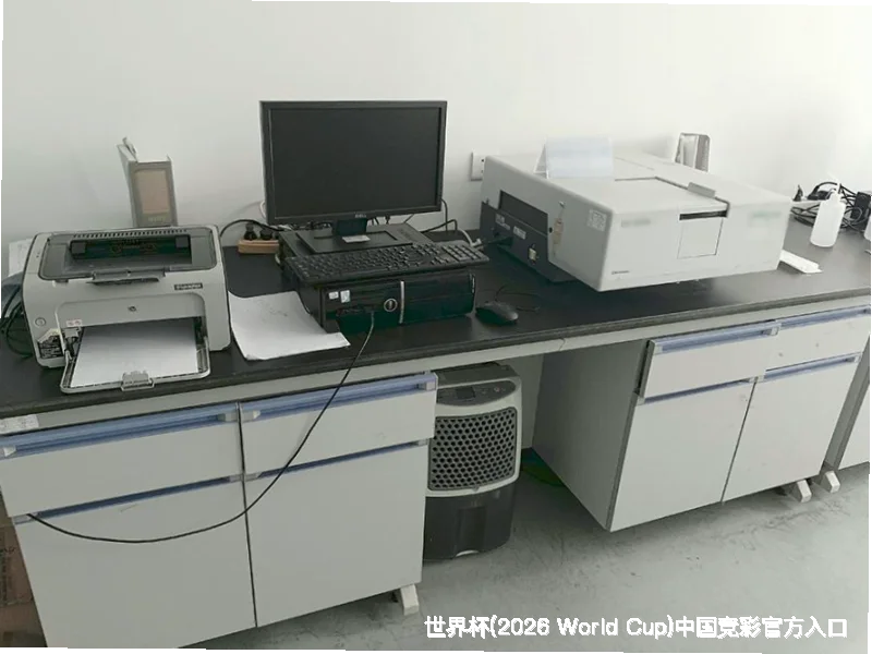 未来愿景：连接全球足球热爱者